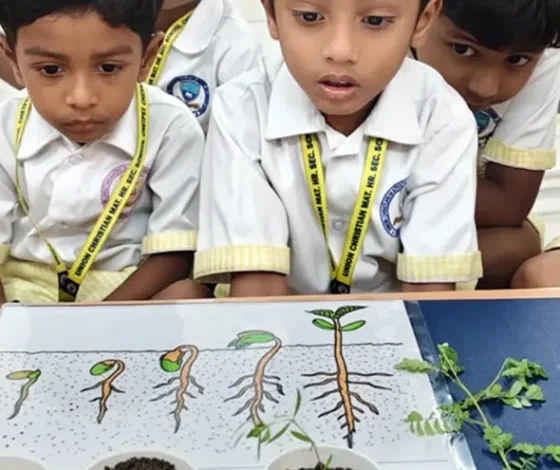 montessori